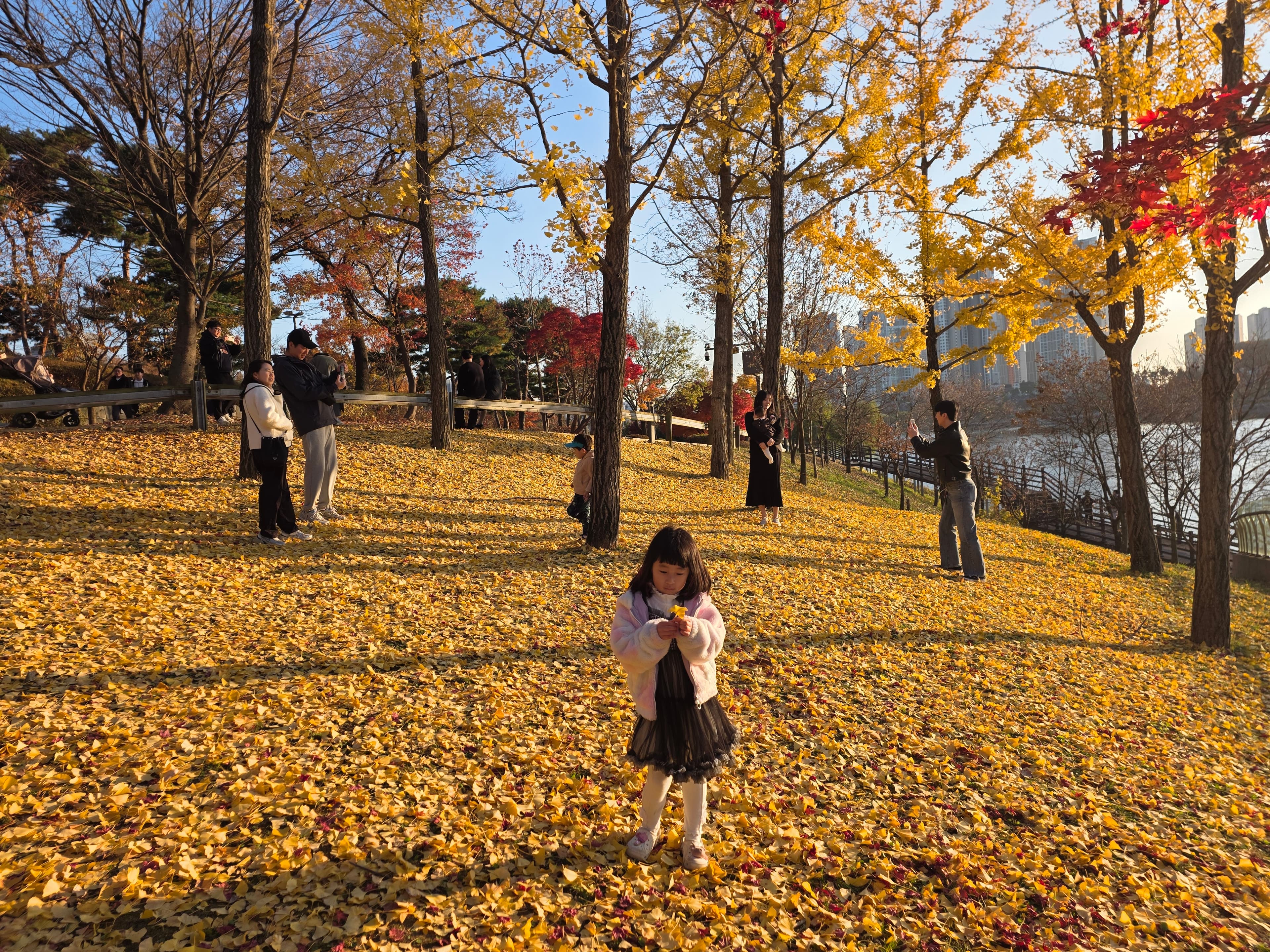 광교 호수공원 - 5