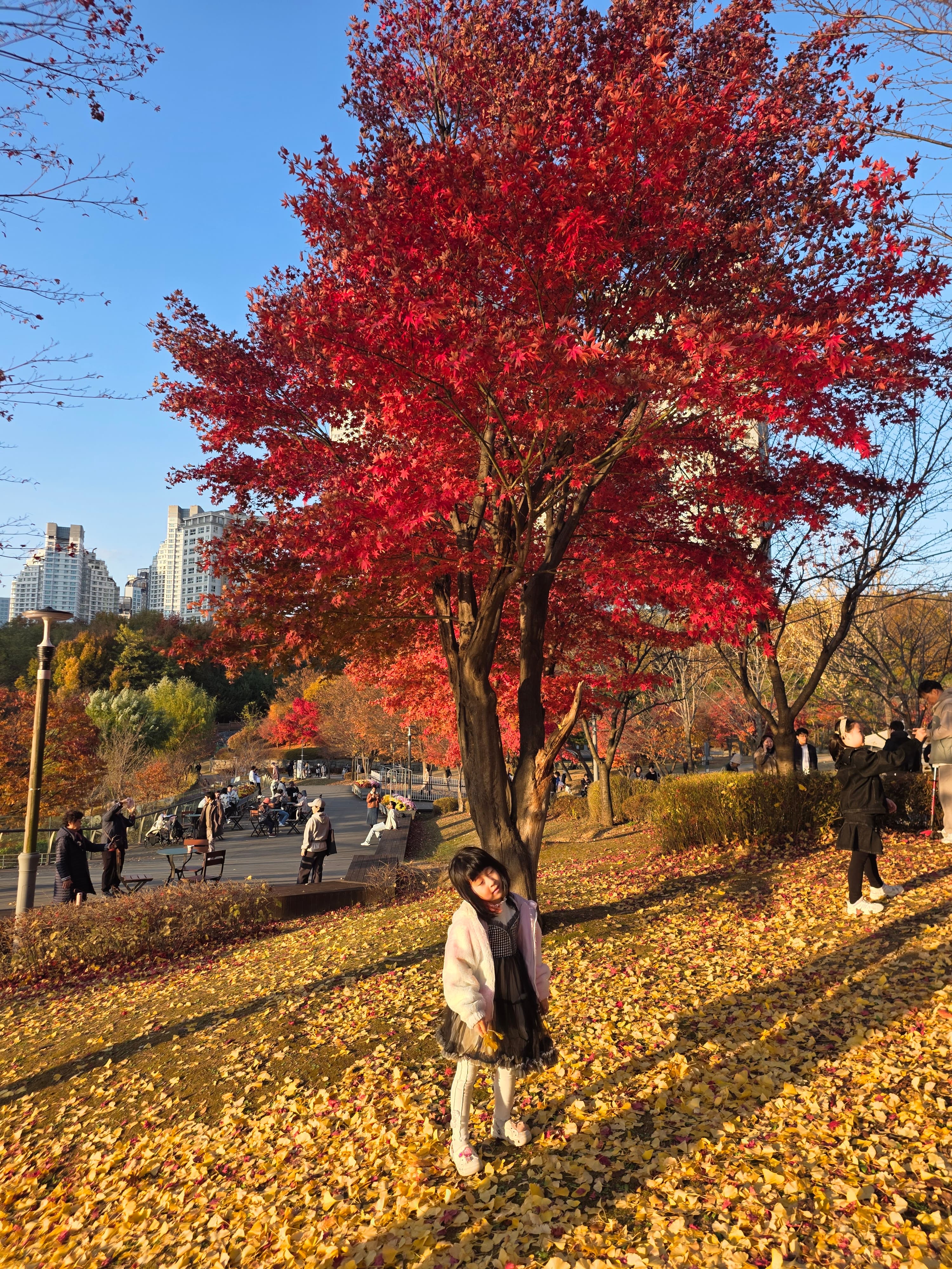 광교 호수공원 - 4