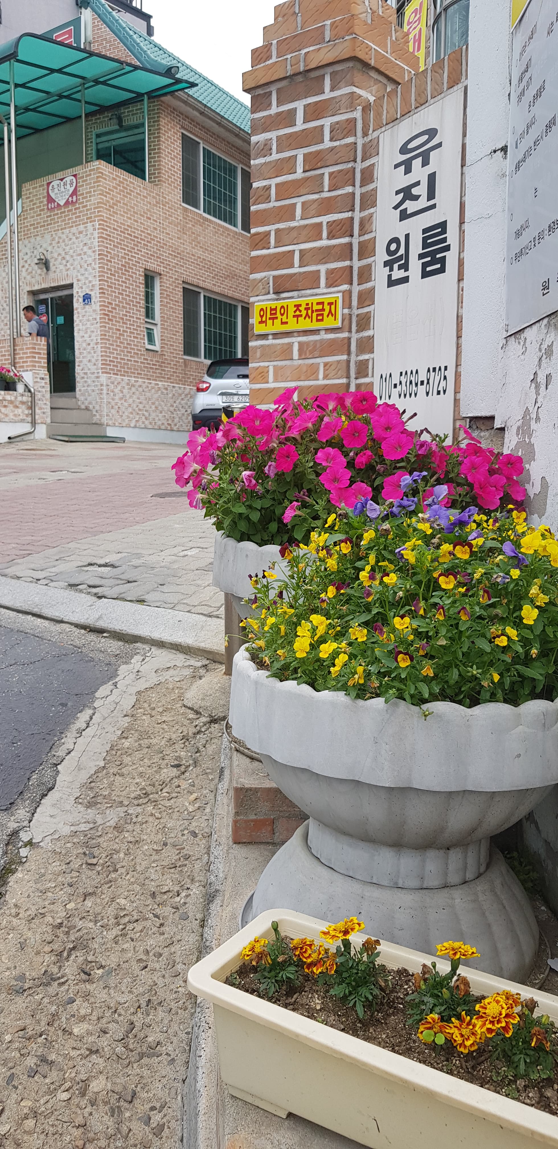 우리집 꽃밭 - 10