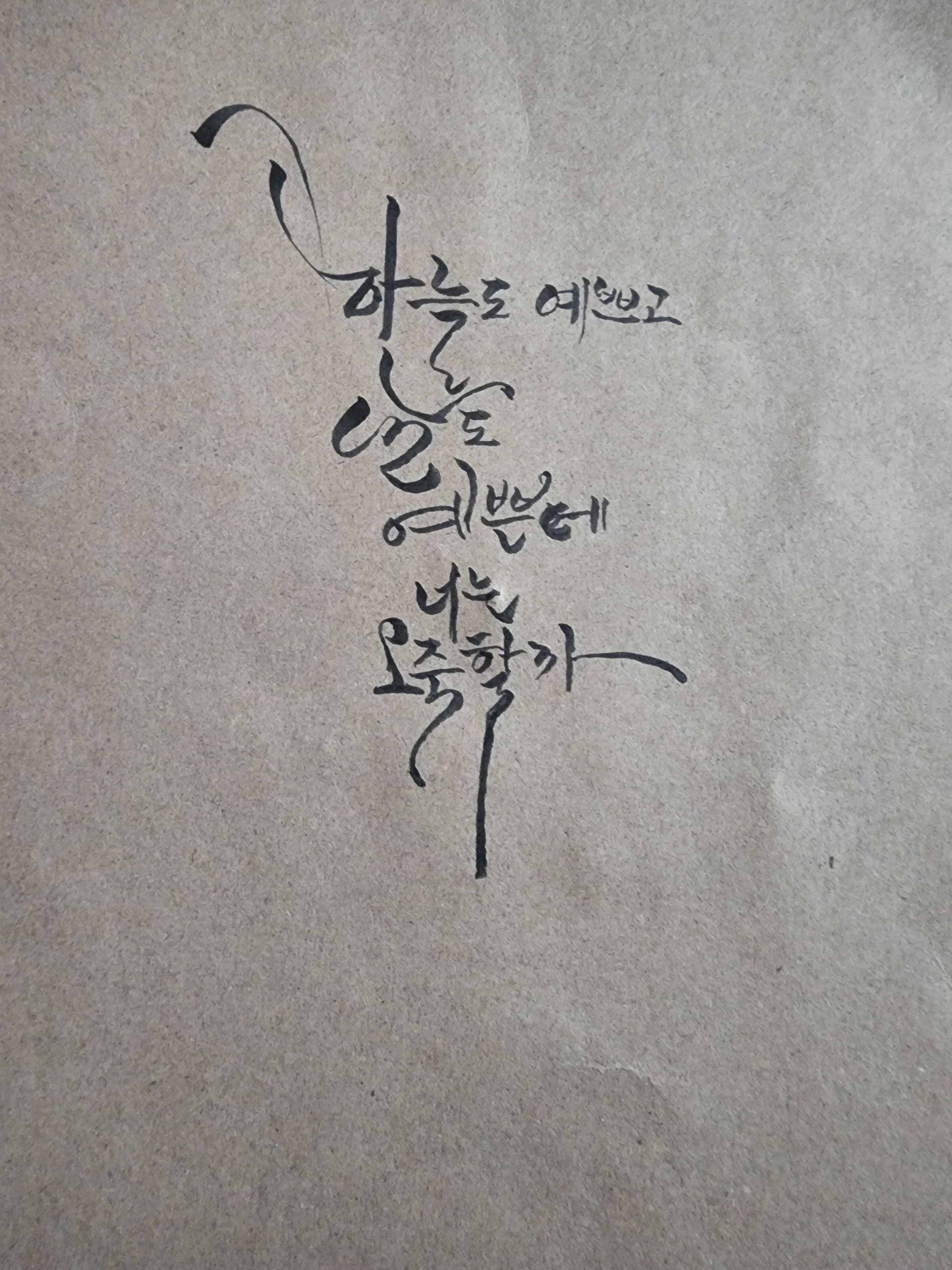 캘리 - 8