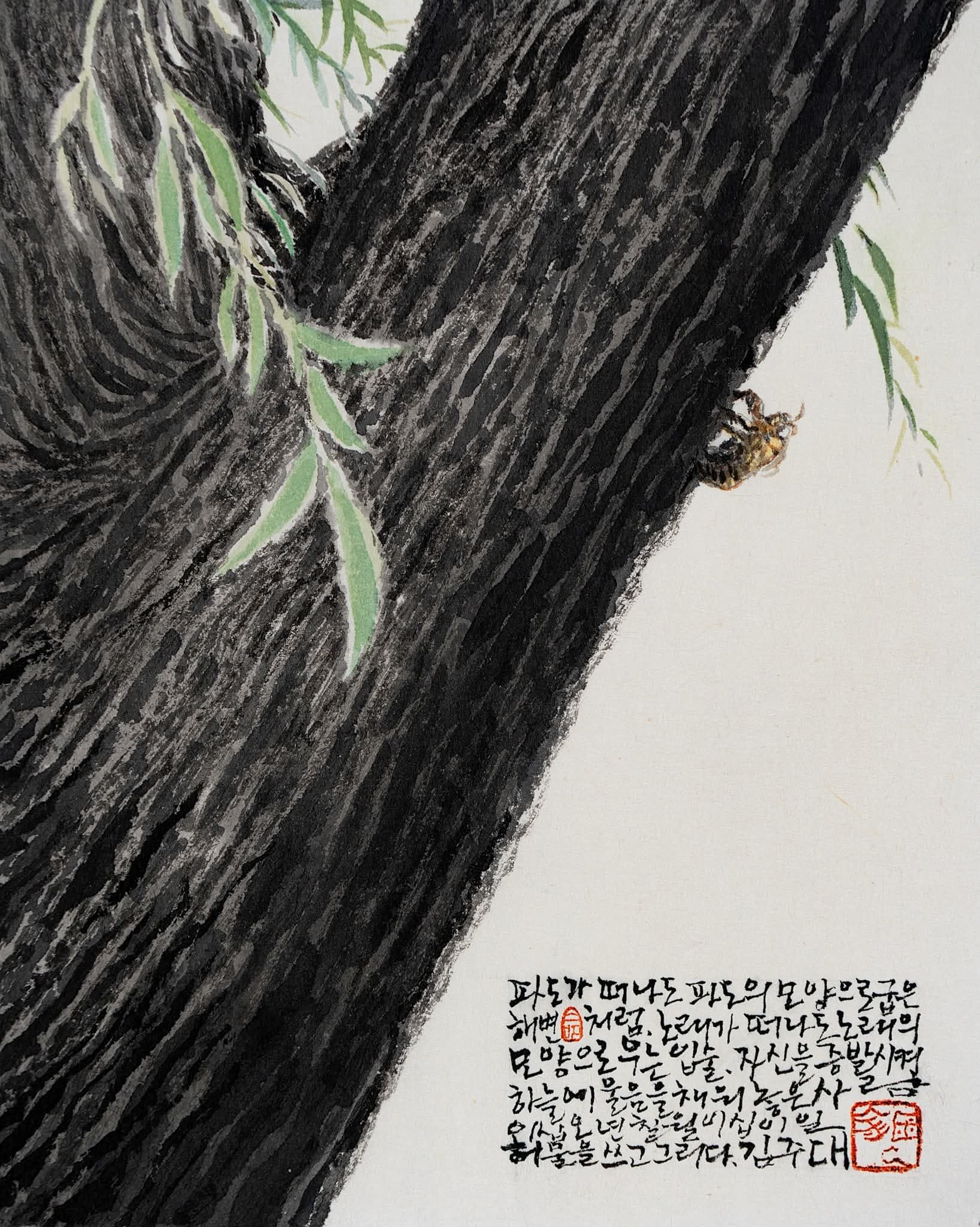 그림,  사진 - 19