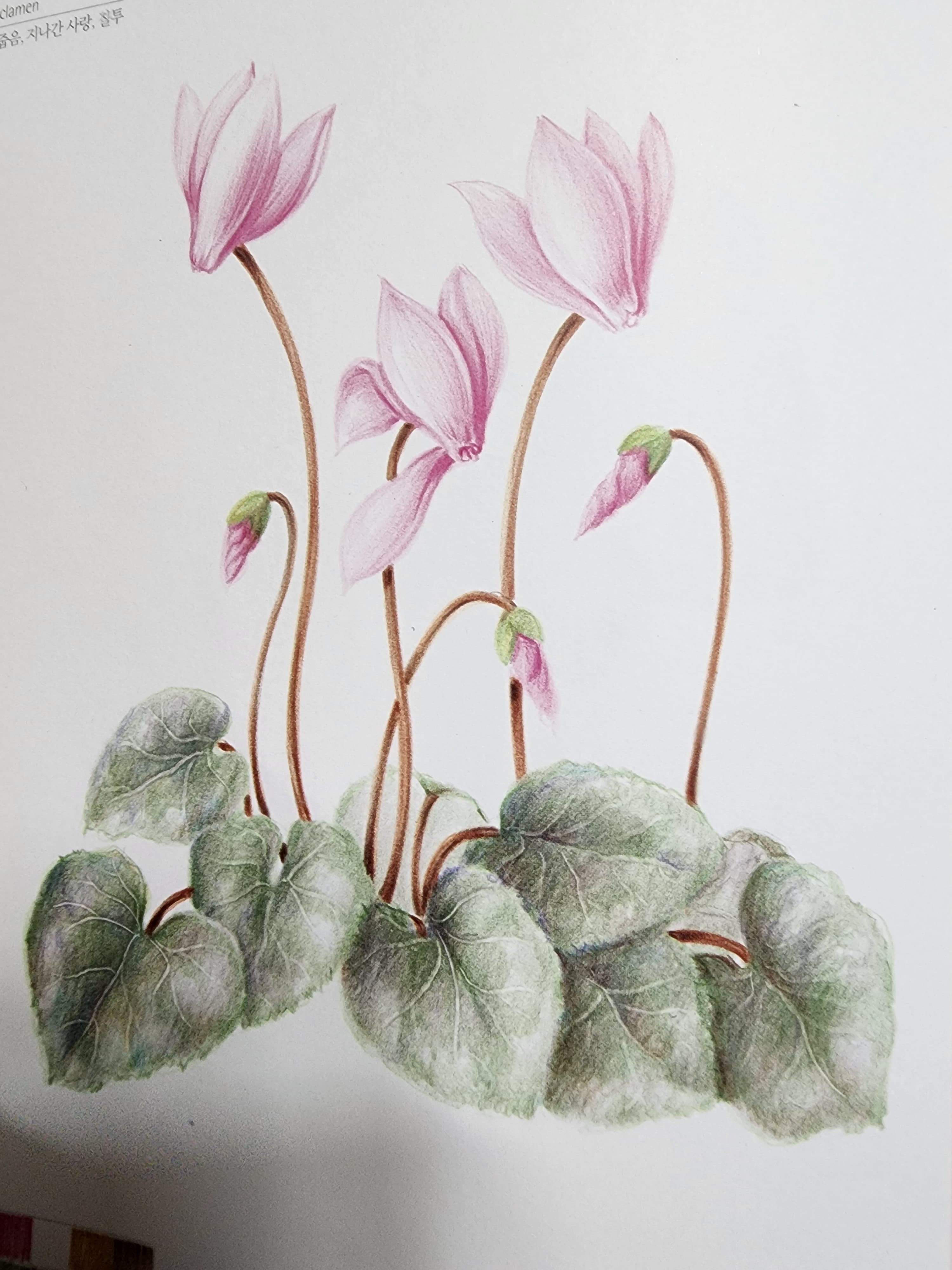 소근소근 아름다운 미소 - 4