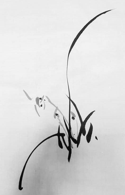 그림,  사진 - 17