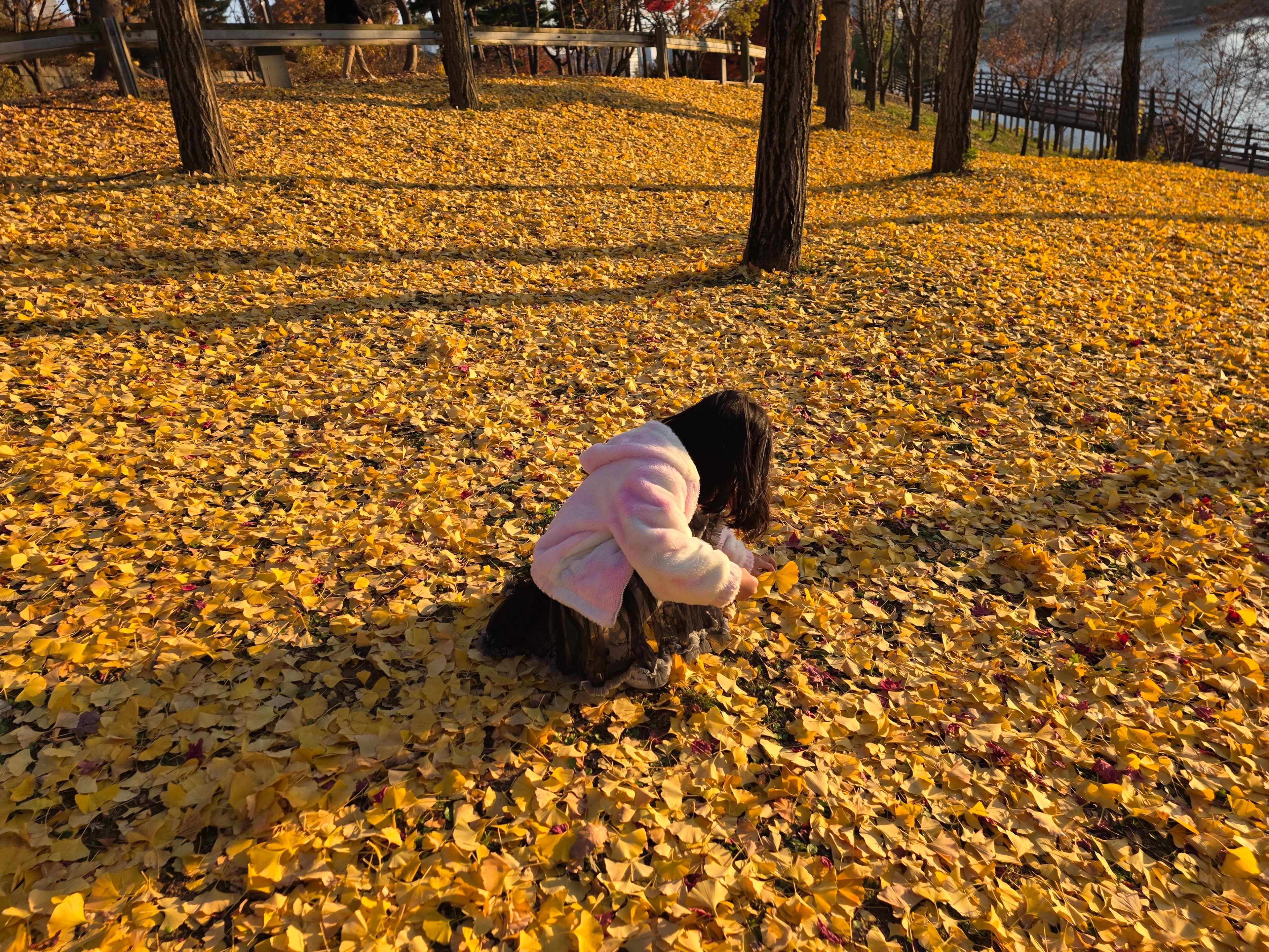 광교 호수공원 - 2