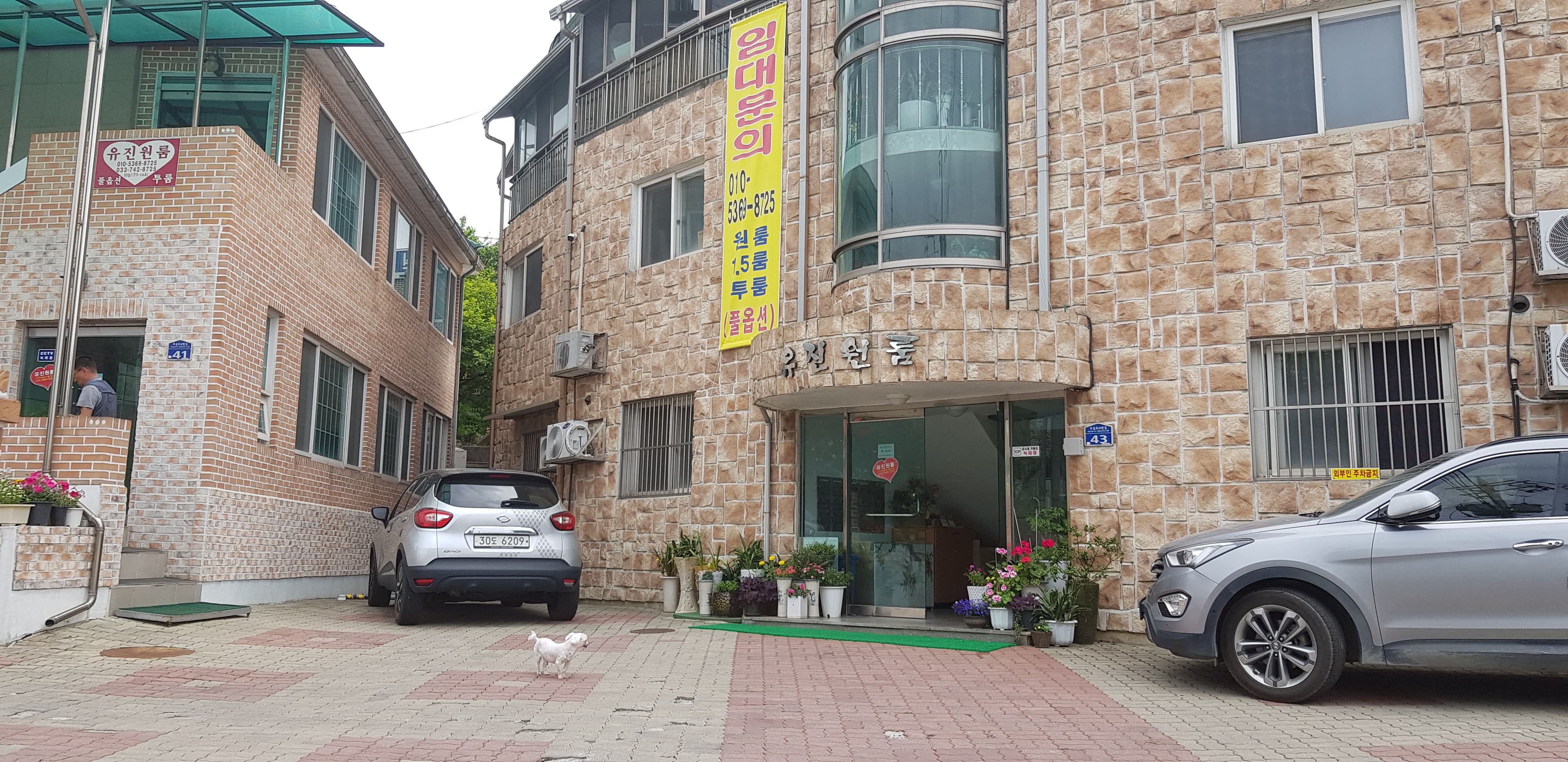 우리집 꽃밭 - 8