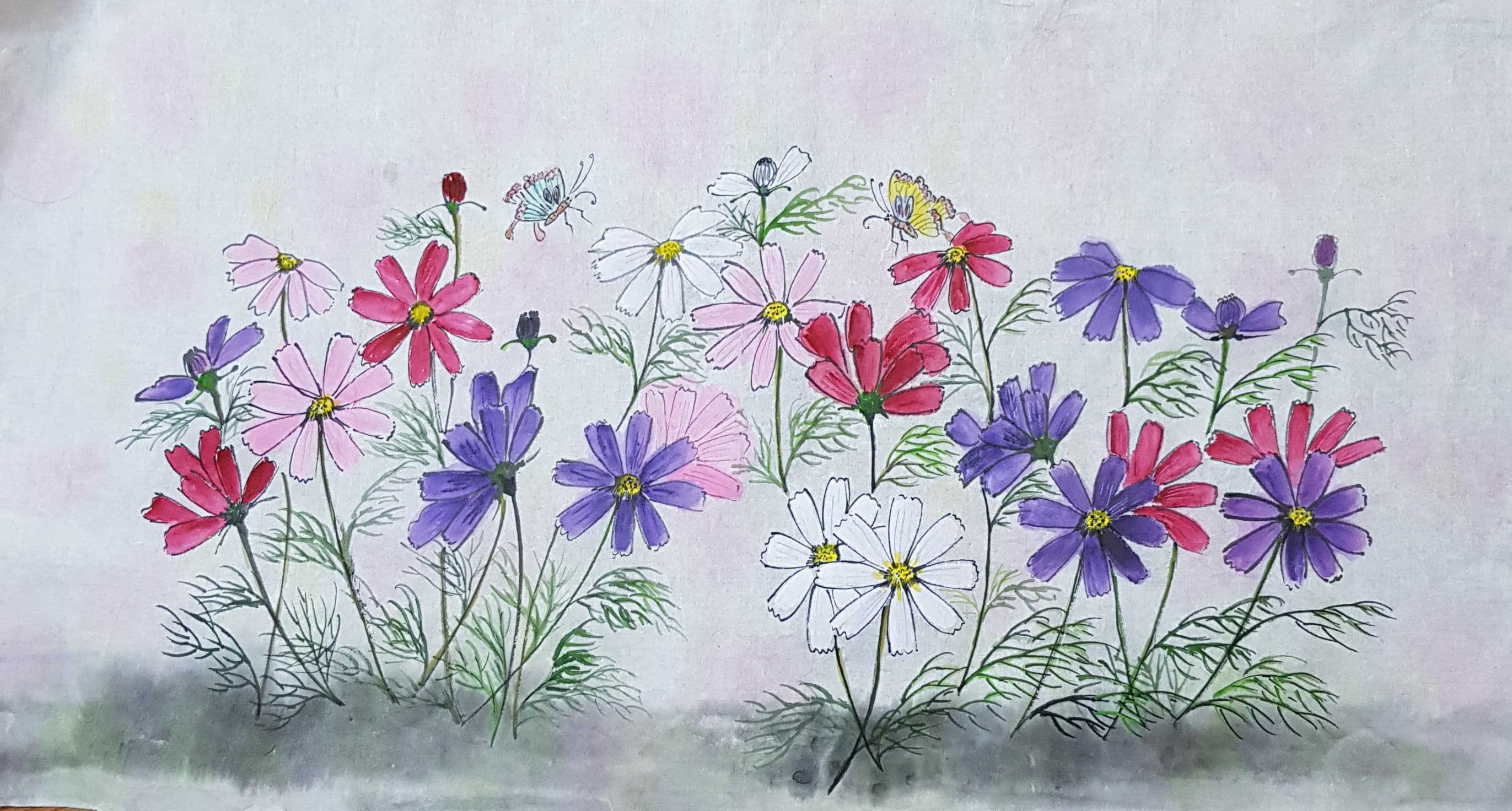 코스모스(복지 교재용)