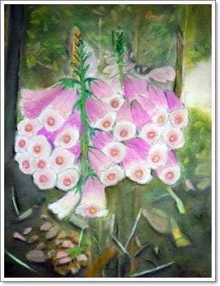 초롱꽃(파스텔)